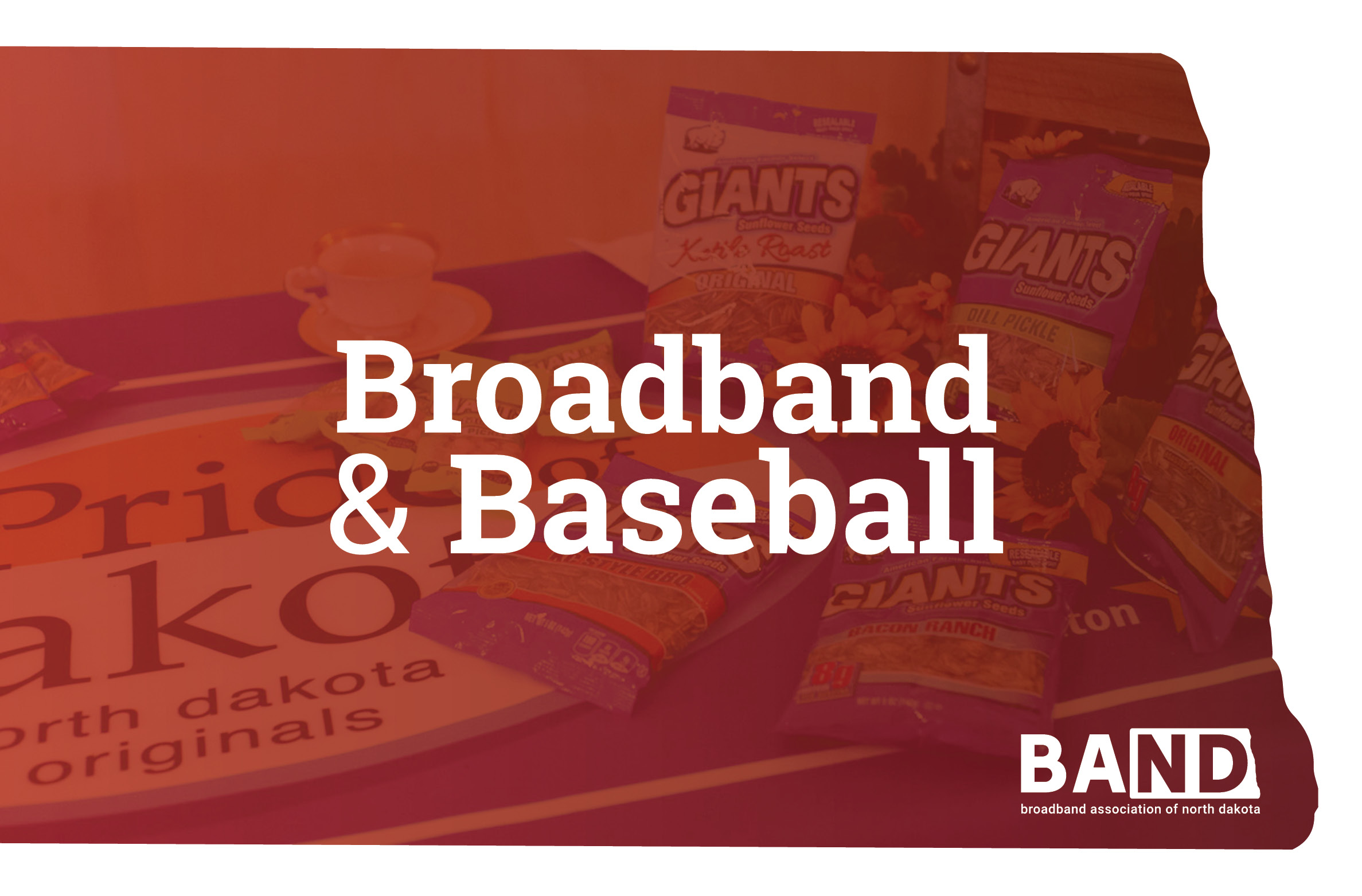 Broadband-baseball-header-photo